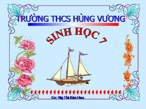 Bài 19. Một số thân mềm khác