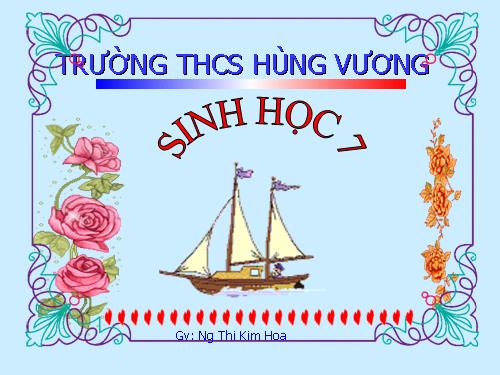 Bài 19. Một số thân mềm khác