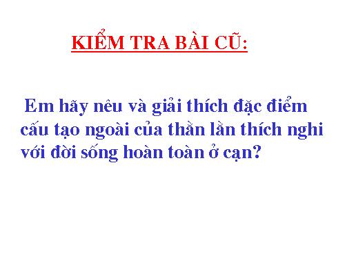 Bài 39. Cấu tạo trong của thằn lằn