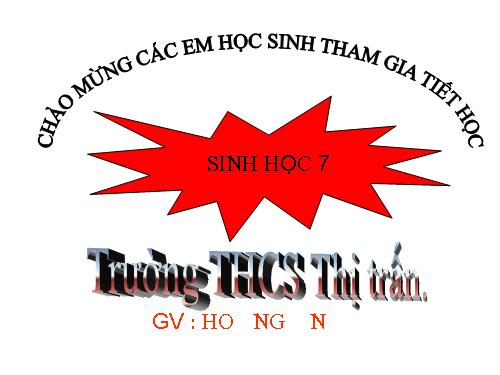 Bài 12. Một số giun dẹp khác và đặc điểm chung của ngành Giun dẹp