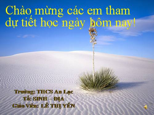 Bài 22. Tôm sông