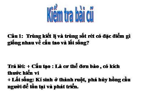 Bài 7. Đặc điểm chung và vai trò thực tiễn của Động vật nguyên sinh