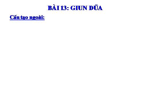 Bài 13. Giun đũa