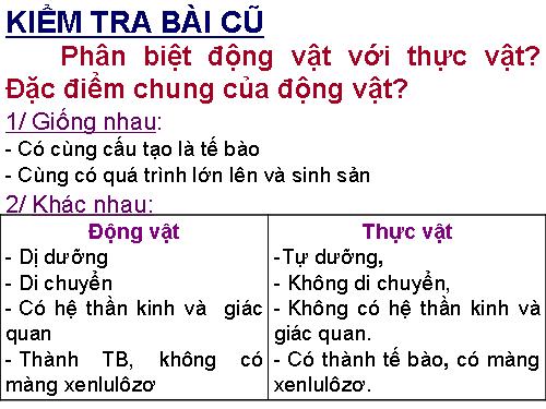 Bài 3. Thực hành: Quan sát một số động vật nguyên sinh