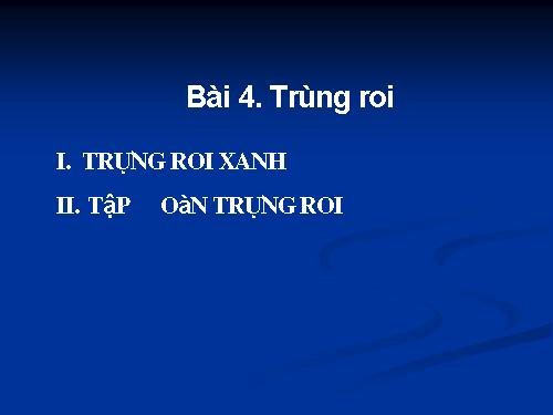 Bài 4. Trùng roi