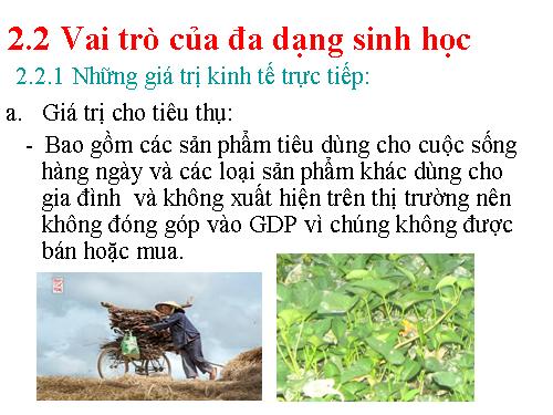 Bài 58. Đa dạng sinh học (tiếp theo)