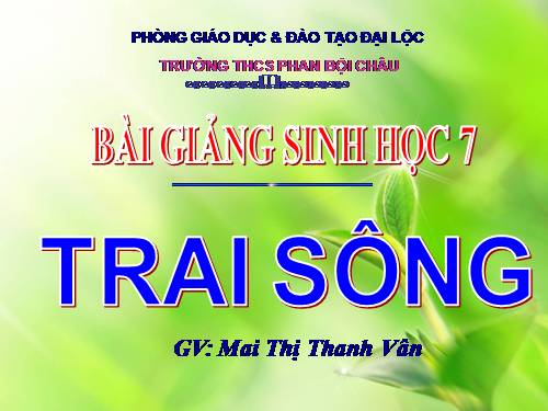 Bài 18. Trai sông