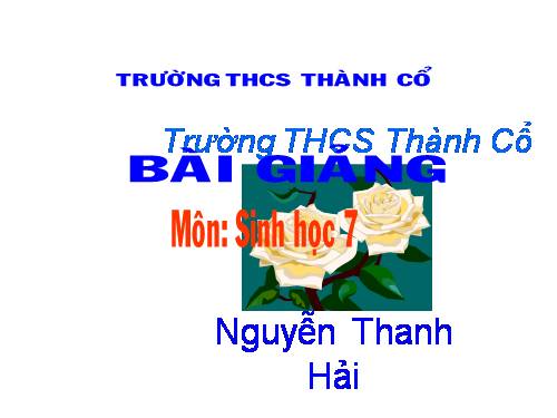 Bài 50. Đa dạng của lớp Thú: Bộ Ăn sâu bọ, bộ Gặm nhấm, bộ Ăn thịt