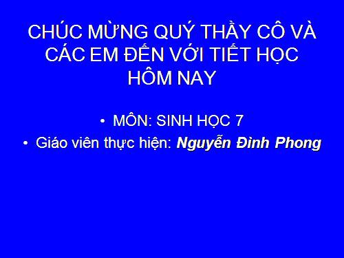 Bài 51. Đa dạng của lớp Thú: Các bộ Móng guốc và bộ Linh trưởng