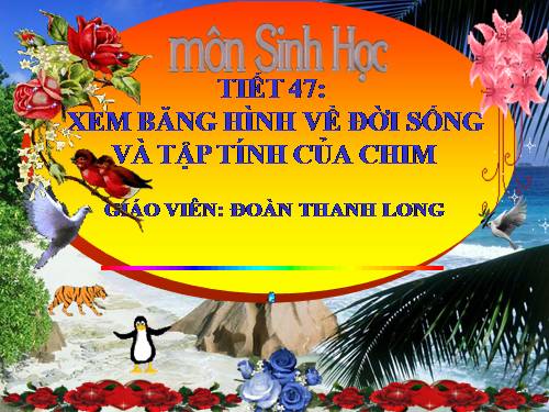 Bài 45. Thực hành: Xem băng hình về đời sống và tập tính của chim