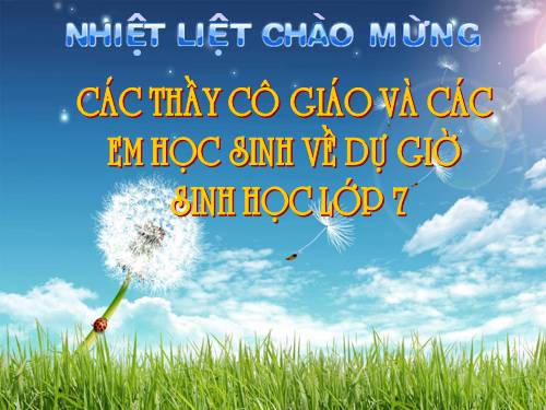 Bài 48. Đa dạng của lớp Thú: Bộ Thú huyệt, bộ Thú túi