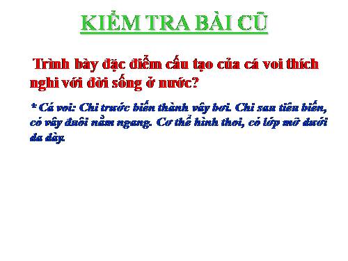 Bài 50. Đa dạng của lớp Thú: Bộ Ăn sâu bọ, bộ Gặm nhấm, bộ Ăn thịt