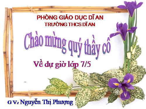 Bài 48. Đa dạng của lớp Thú: Bộ Thú huyệt, bộ Thú túi