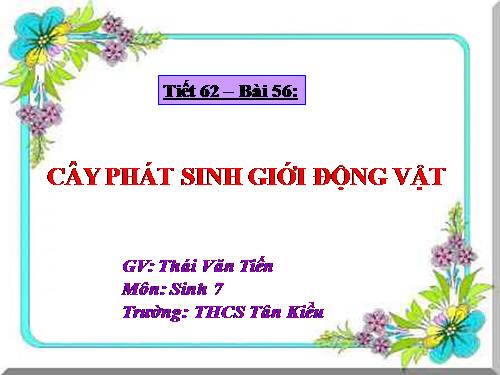 Bài 56. Cây phát sinh giới Động vật