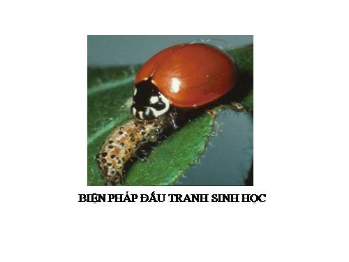 Bài 59. Biện pháp đấu tranh sinh học