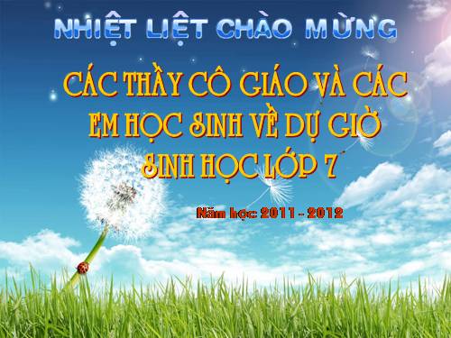 Bài 48. Đa dạng của lớp Thú: Bộ Thú huyệt, bộ Thú túi