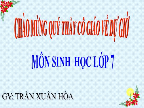 Bài 21. Đặc điểm chung và vai trò của ngành Thân mềm