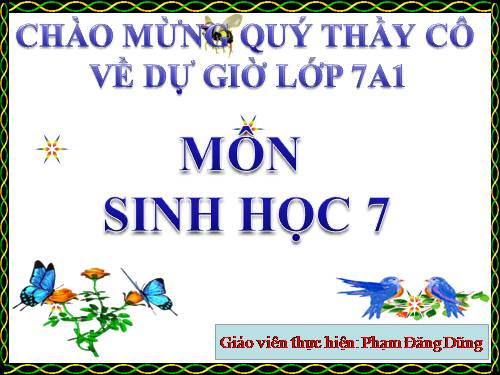 Bài 17. Một số giun đốt khác và đặc điểm chung của ngành Giun đốt