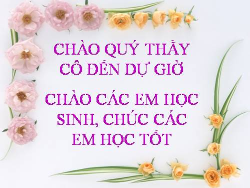 Bài 56. Cây phát sinh giới Động vật