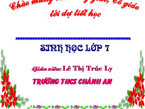 Bài 54. Tiến hoá về tổ chức cơ thể