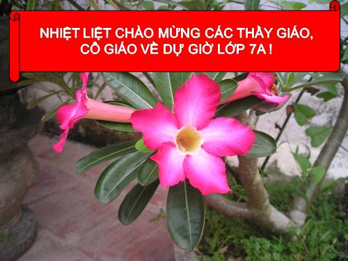 Bài 54. Tiến hoá về tổ chức cơ thể