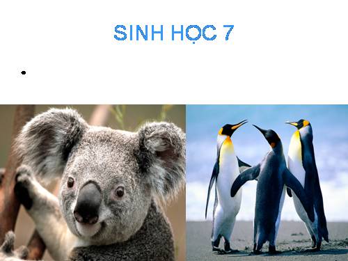 Bài 54. Tiến hoá về tổ chức cơ thể