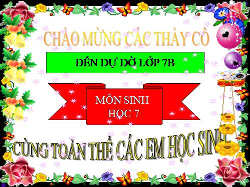 Bài 56. Cây phát sinh giới Động vật