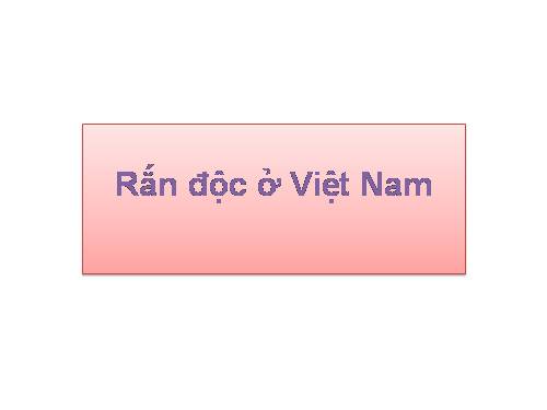 các loại Rắn độc, cách phòng chống.