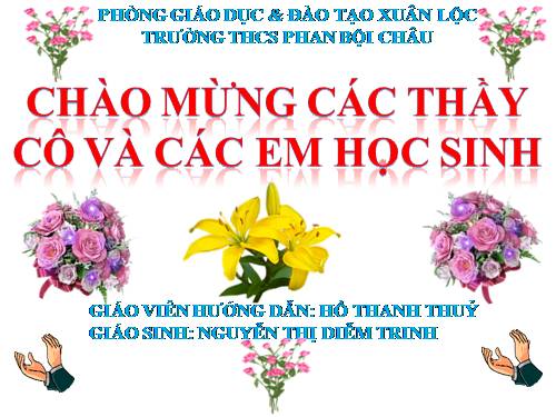 Bài 49. Đa dạng của lớp Thú: Bộ Dơi và bộ Cá voi