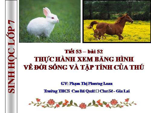 Bài 52. Thực hành: Xem băng hình về đời sống và tập tính của Thú