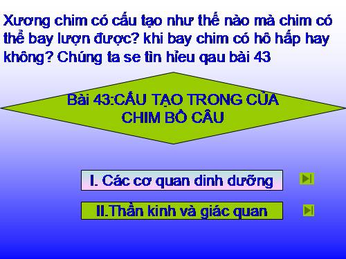 Bài 43. Cấu tạo trong của chim bồ câu