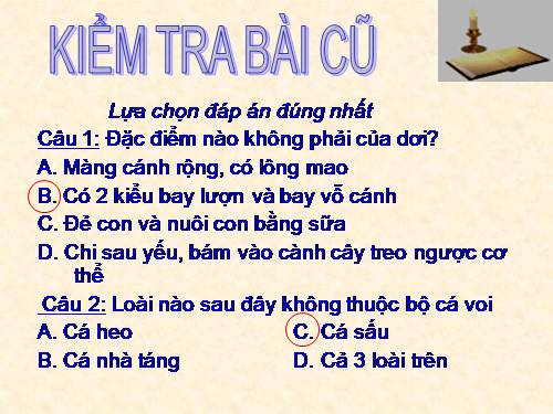 Bài 50. Đa dạng của lớp Thú: Bộ Ăn sâu bọ, bộ Gặm nhấm, bộ Ăn thịt