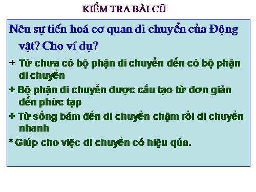 Bài 54. Tiến hoá về tổ chức cơ thể