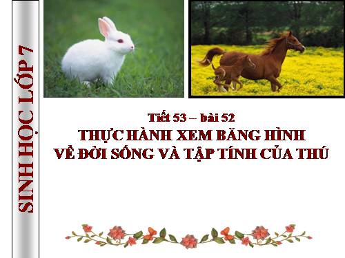 Bài 52. Thực hành: Xem băng hình về đời sống và tập tính của Thú