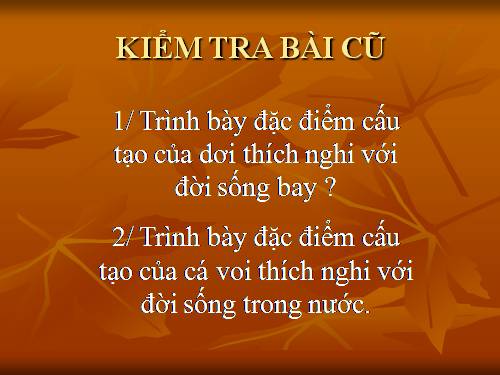 Bài 50. Đa dạng của lớp Thú: Bộ Ăn sâu bọ, bộ Gặm nhấm, bộ Ăn thịt