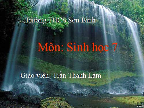 Bài 51. Đa dạng của lớp Thú: Các bộ Móng guốc và bộ Linh trưởng