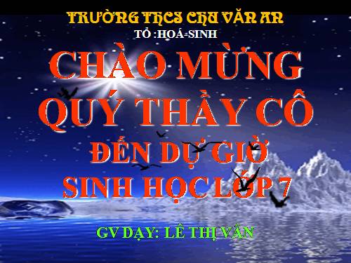 Bài 51. Đa dạng của lớp Thú: Các bộ Móng guốc và bộ Linh trưởng