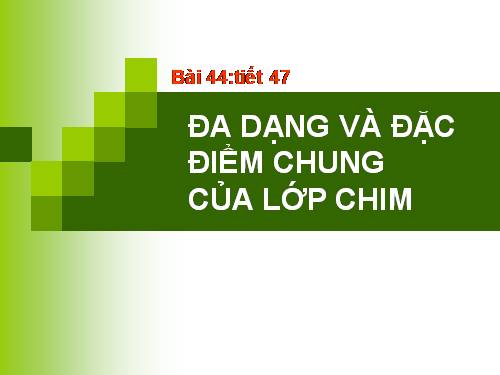 Bài 44. Đa dạng và đặc điểm chung của lớp Chim