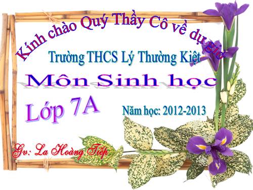 Bài 46. Thỏ