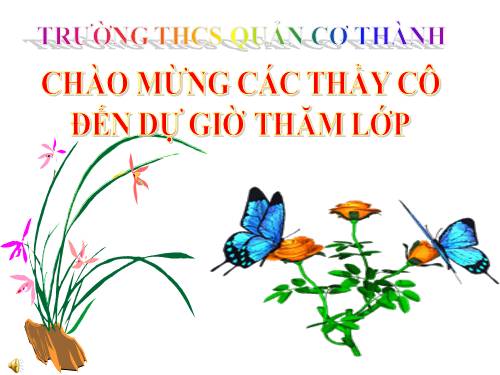 Bài 46. Thỏ