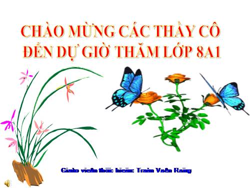 Bài 46. Thỏ