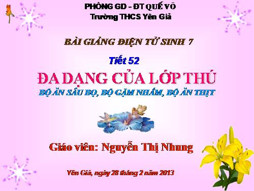 Bài 50. Đa dạng của lớp Thú: Bộ Ăn sâu bọ, bộ Gặm nhấm, bộ Ăn thịt