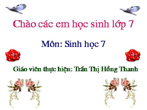 Bài 25. Nhện và sự đa dạng của lớp Hình nhện