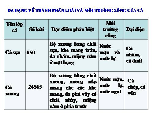 Bài 34. Đa dạng và đặc điểm chung của các lớp Cá