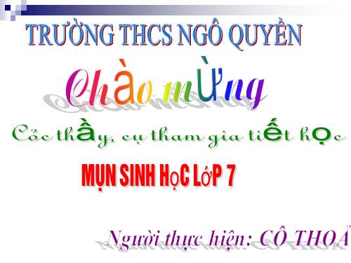 Bài 49. Đa dạng của lớp Thú: Bộ Dơi và bộ Cá voi