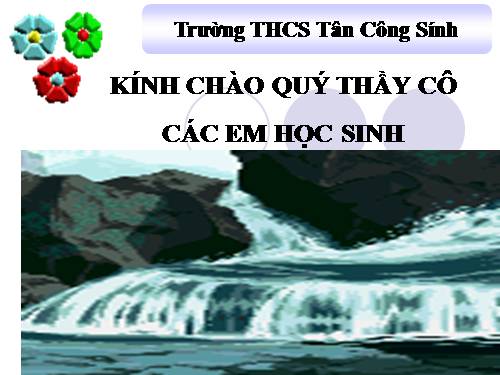 Bài 48. Đa dạng của lớp Thú: Bộ Thú huyệt, bộ Thú túi