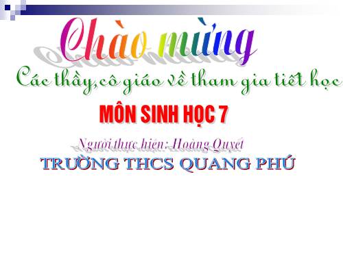 Bài 49. Đa dạng của lớp Thú: Bộ Dơi và bộ Cá voi