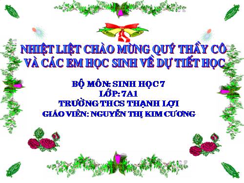 Bài 41. Chim bồ câu