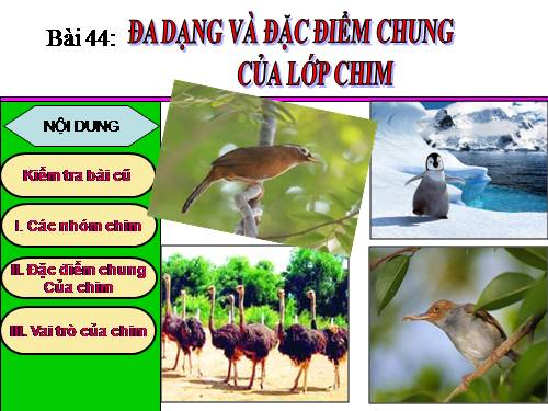 Bài 44. Đa dạng và đặc điểm chung của lớp Chim