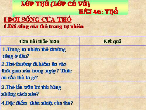 Bài 46. Thỏ